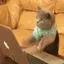 Typing