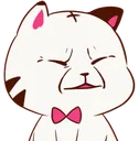torapikachu1