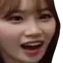 chaewonpog