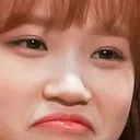 chaewonsad