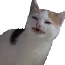 What_in_the_kentucky_fried_fu