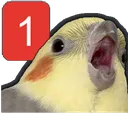 birb