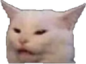 :whytho: Discord Emote