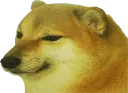 him