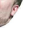 bigLUL4