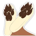 paws