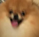 olivehyper olivehyper