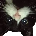miscMonsterLurk