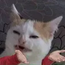 Why