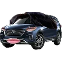 cursedhyundai