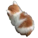 angy2