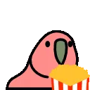 popcorn_parrot
