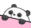 bongo_panda