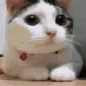 nonono
