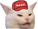 kittyfacemaga
