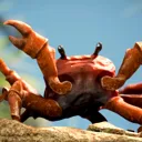 CrabRave