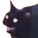 Catastrophe_eee