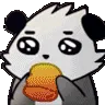 pandasip