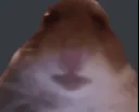 bruhmelt