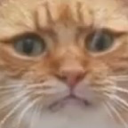 :catStress: Discord Emote