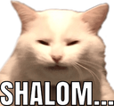 :shalom: Discord Emote