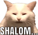 shalom shalom