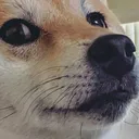 bruh