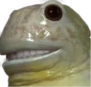 yutingsmile3revengeofthenerds yutingsmile3revengeofthenerds