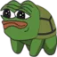 peepoturtle peepoturtle