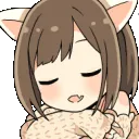 AMnekoSleepy