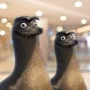 hah