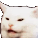 HuhCat