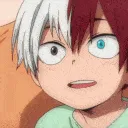 Todoroki_TameExcyte