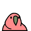 bouncing_parrot bouncing_parrot