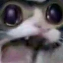MIAAAAAAAAAAAAAAAAAAAAAAAAAA