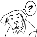 Jack_Question