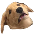 Saddog saddog Discord Emoji