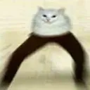 yeet