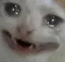 crying_cat3