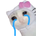 hellokittycrying