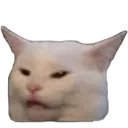 confuse confuse
