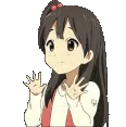 ankoWave
