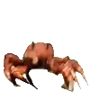 CrabRave