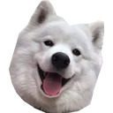 nyxisbest nyxisbest