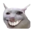 catteeth