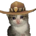 Cowboycat cowboycat Discord Emoji