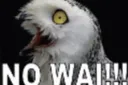 nowai