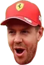 vettelpog