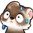 ferretsweat