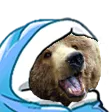 ComfyBear